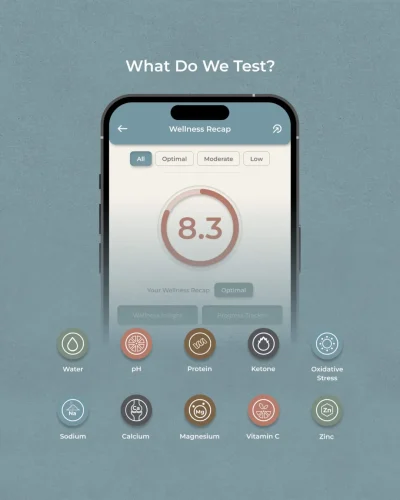 BioKissed-single-strip-Biokissed-urine-test-10-gezondheidswaarden